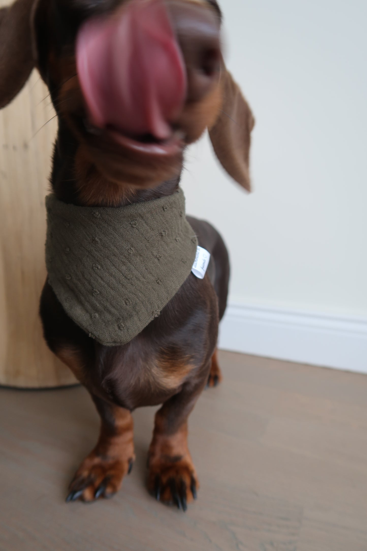 Musselin Halstuch KHAKI DOTS