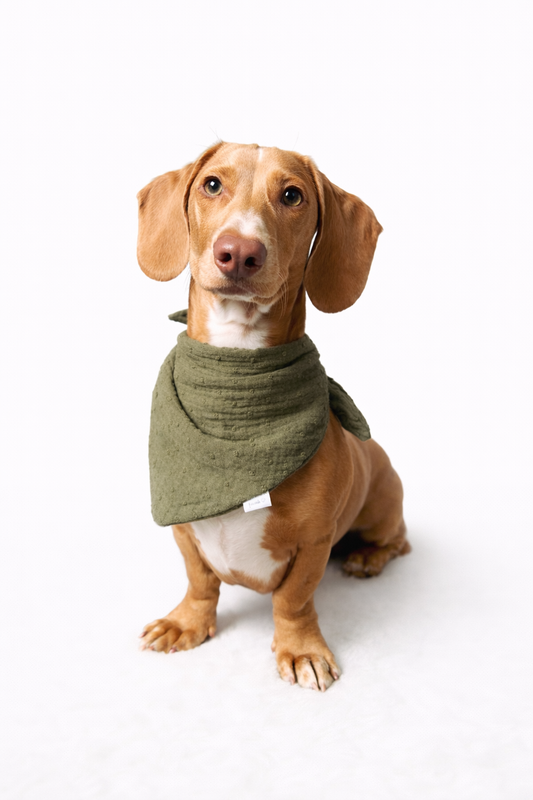 Musselin Halstuch KHAKI DOTS