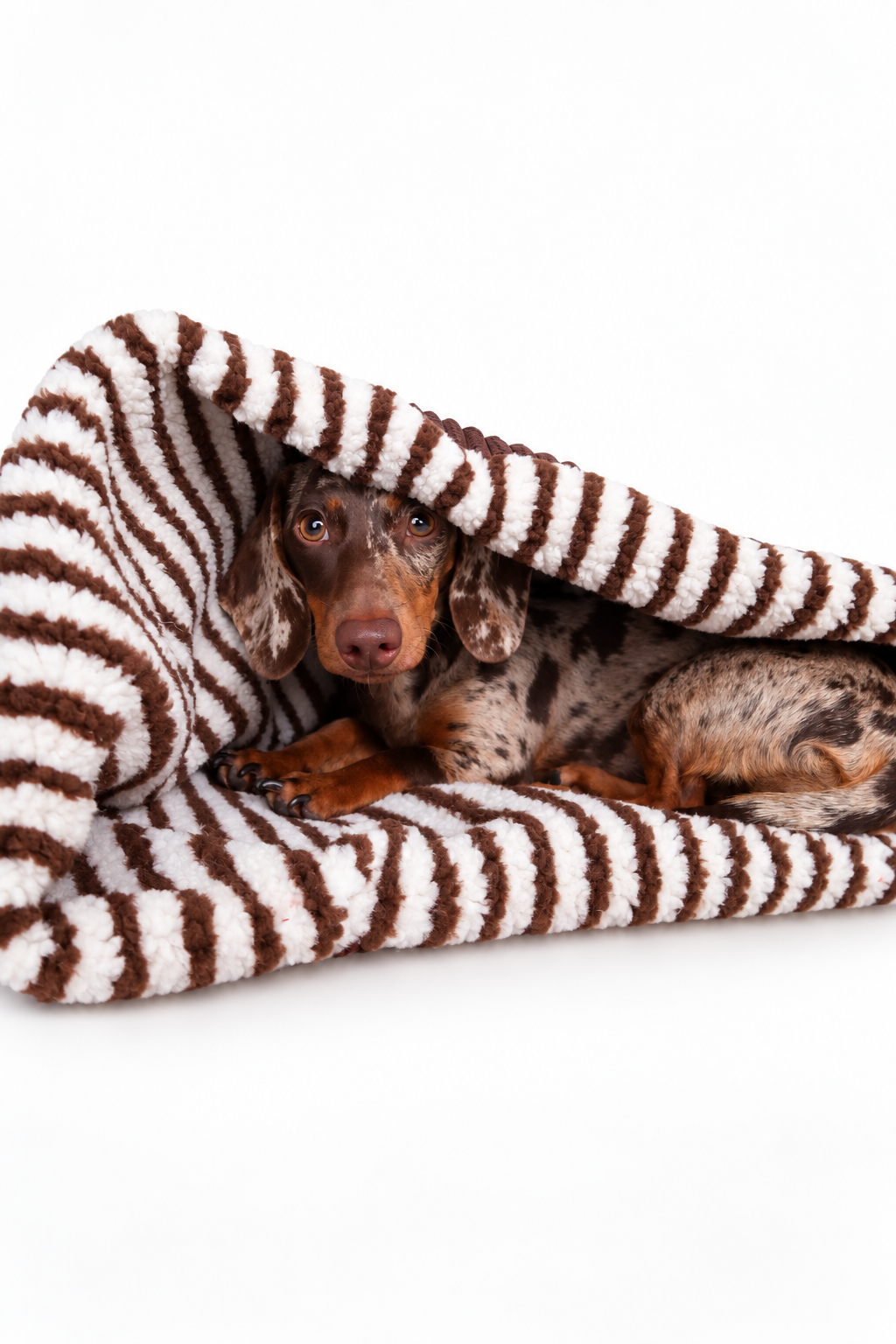 Mix & Match - Kuschelsack LIMITED EDITION