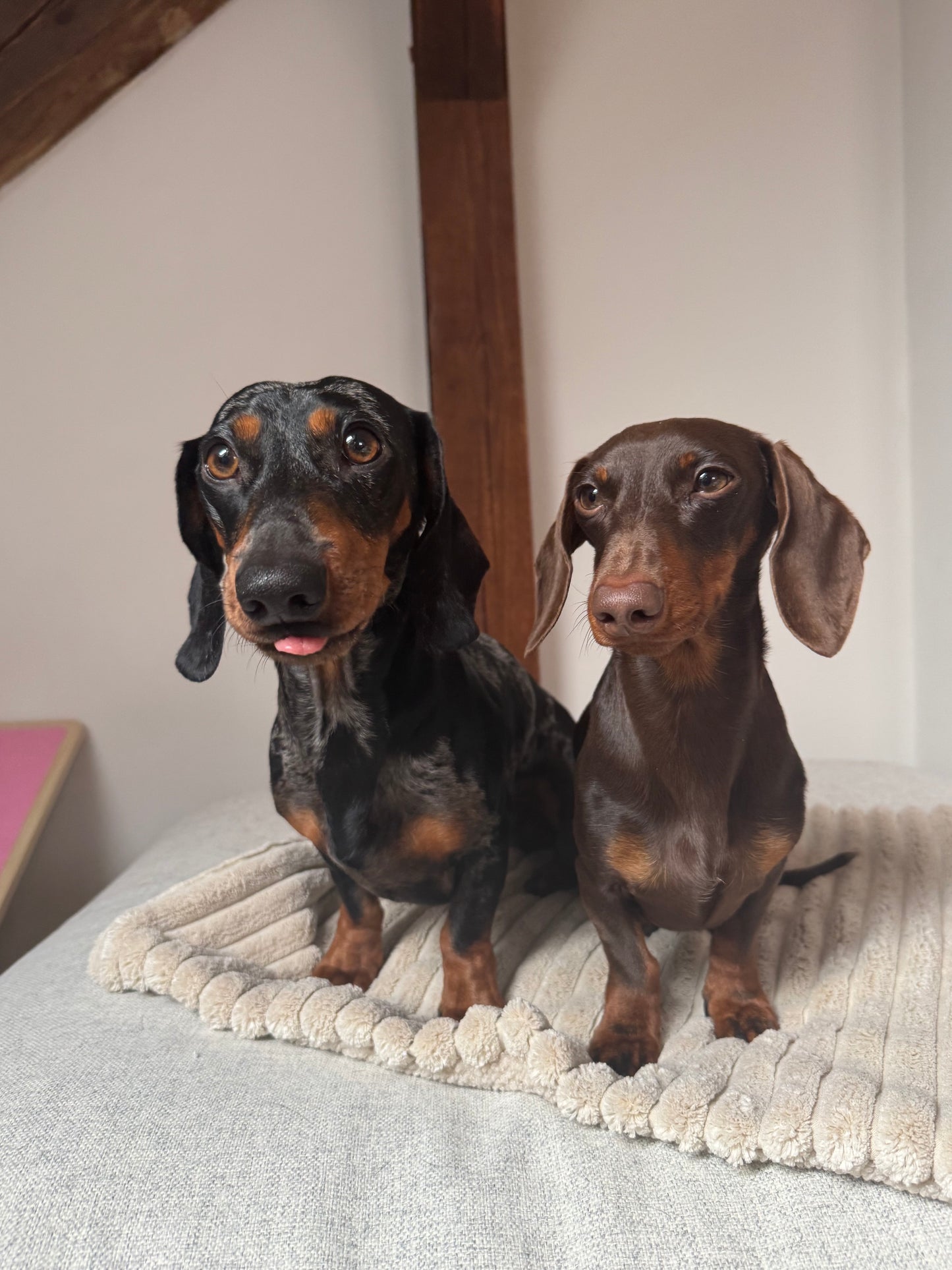 Mix & Match Kuscheldecke