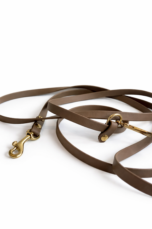 Basic BioThane Leine