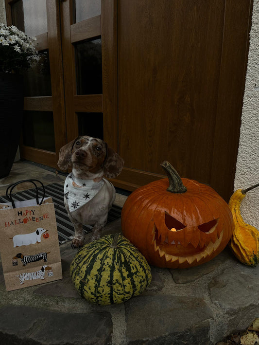 Musselinhalstuch SPOOKY