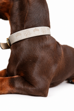 Mix&Match - BioThane® Halsband FALL
