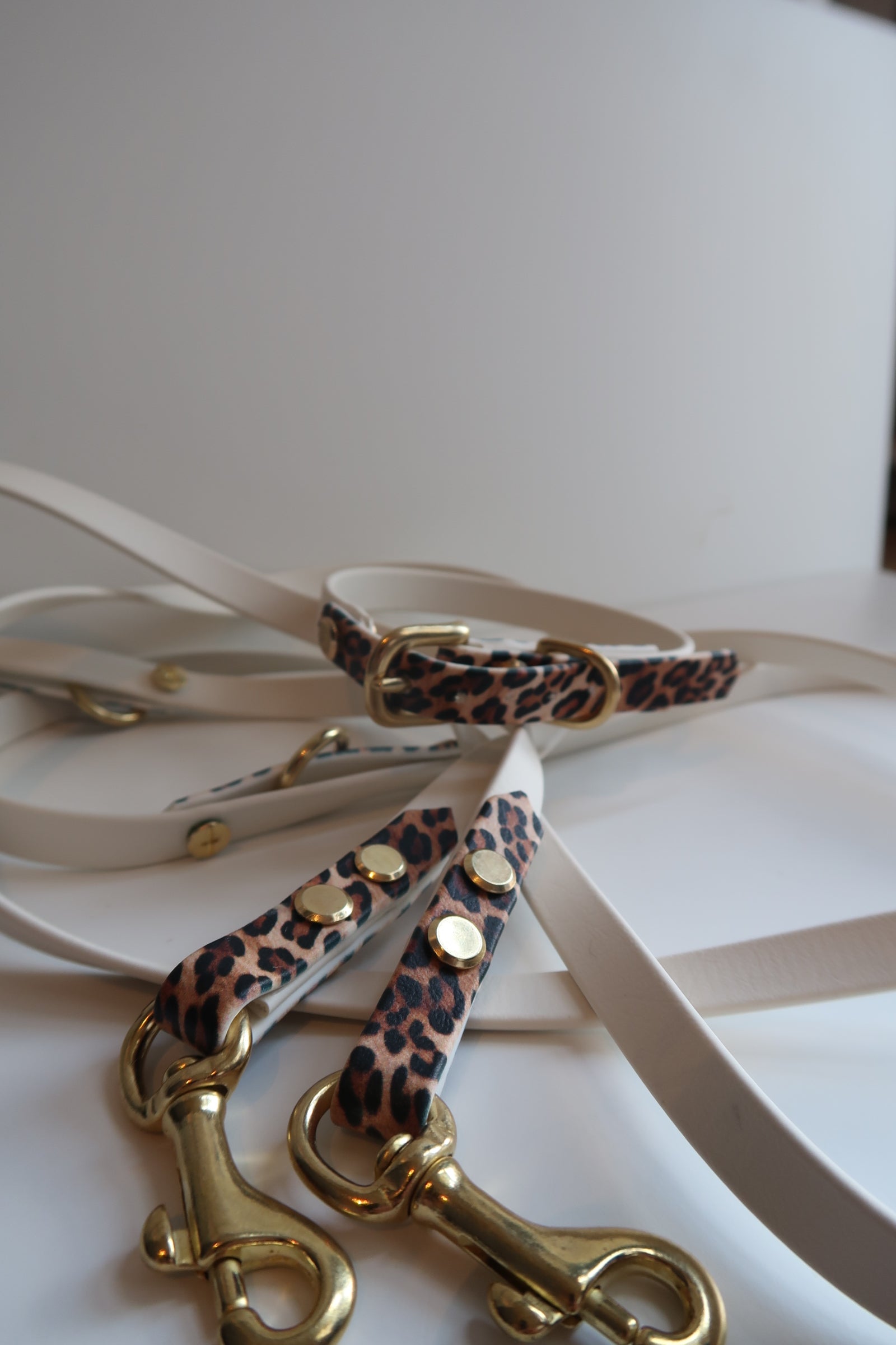 LEO - BioThane® Crossbody Leine