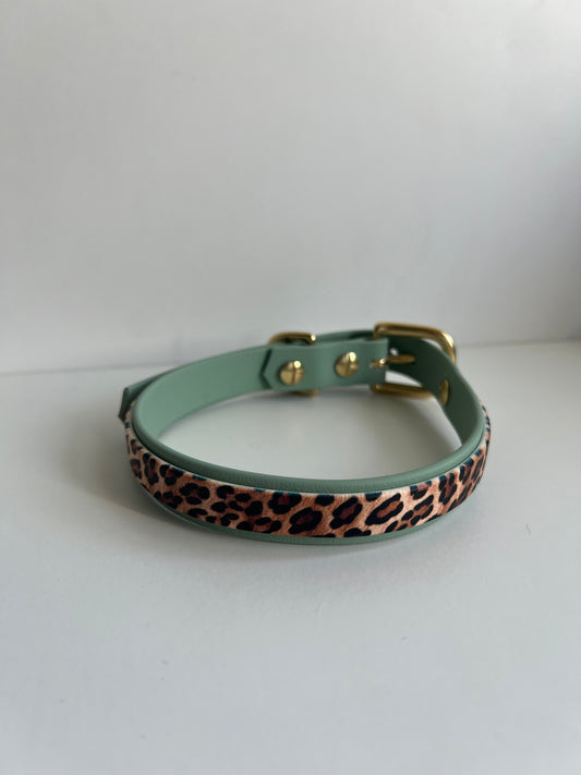 Halsband Salbei/leo