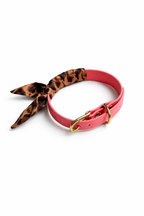 BioThane® Halsband - Twilly LEO