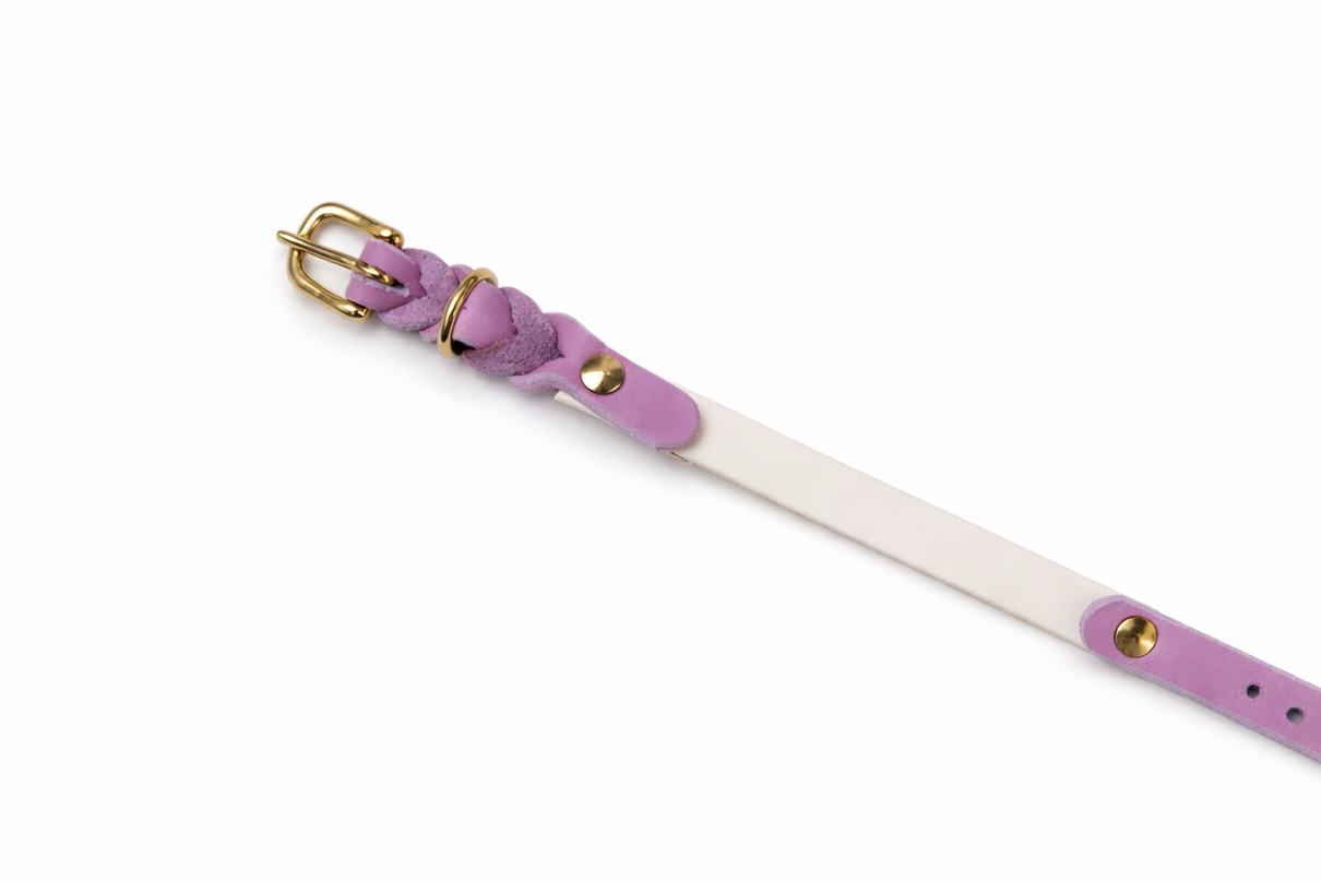 Fettleder x BioThane Halsband  23-27cm