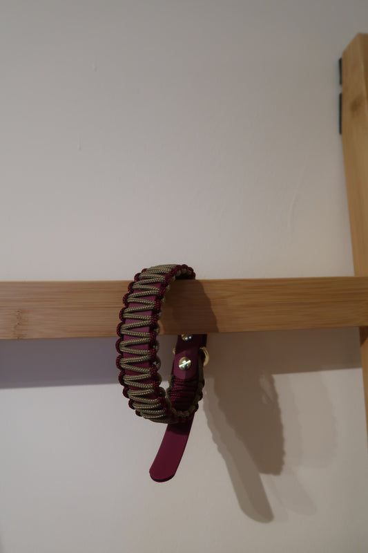 Paracord x Biothane Halsband zweifarbig