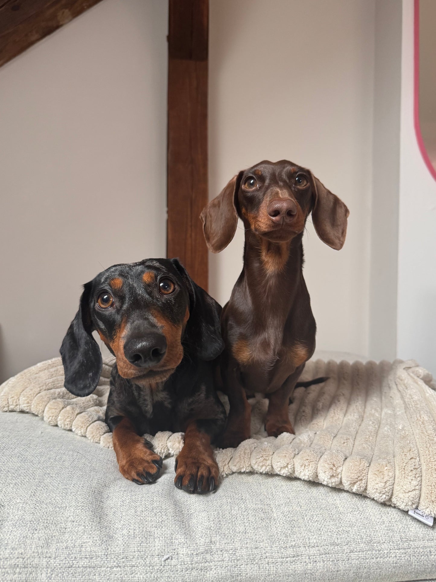 Mix & Match Kuscheldecke