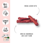 BUNDLE - 5 VEGDOG Beevys