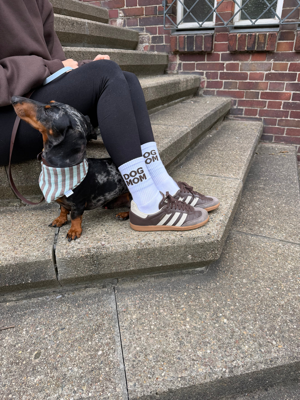 DOG MOM Socken - BROWN Edition