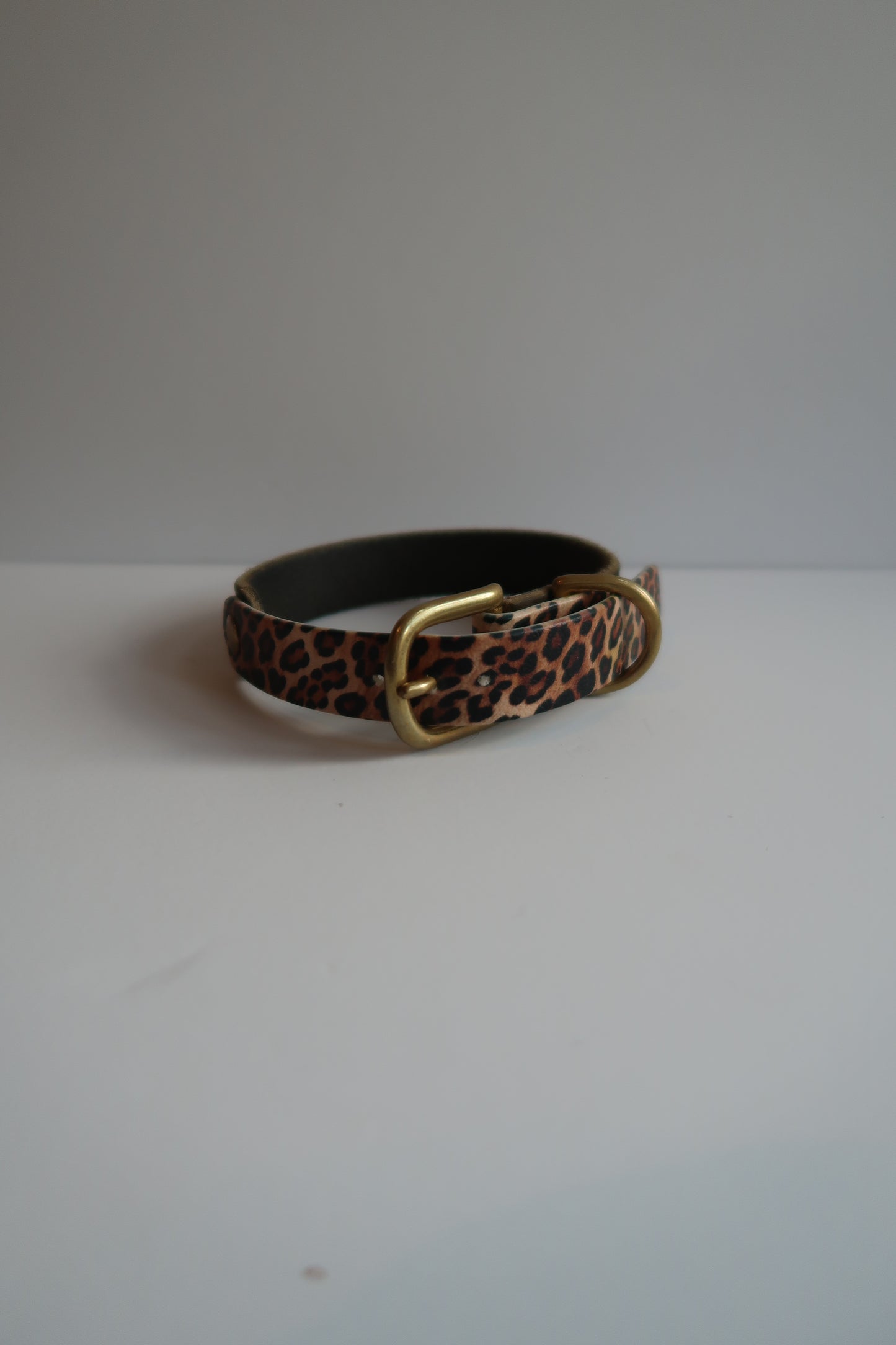 LEO x Fettleder Halsband