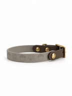 Mix&Match - BioThane® Halsband FALL