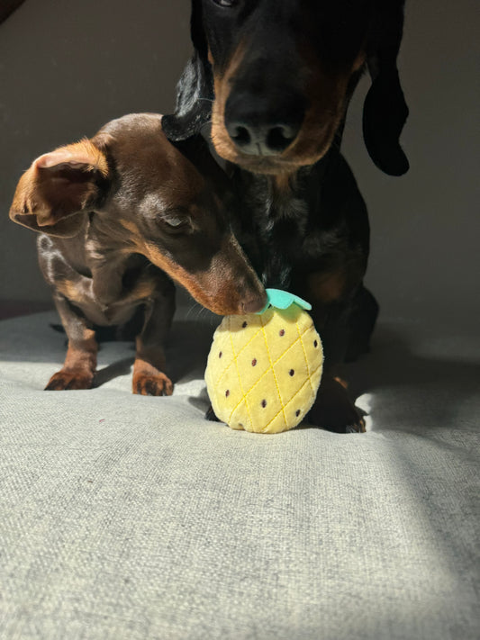 Plüsch-Ananas