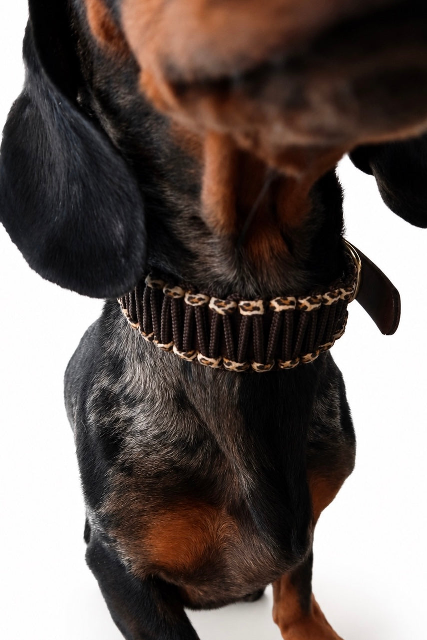 Paracord x BioThane® Halsband LEO