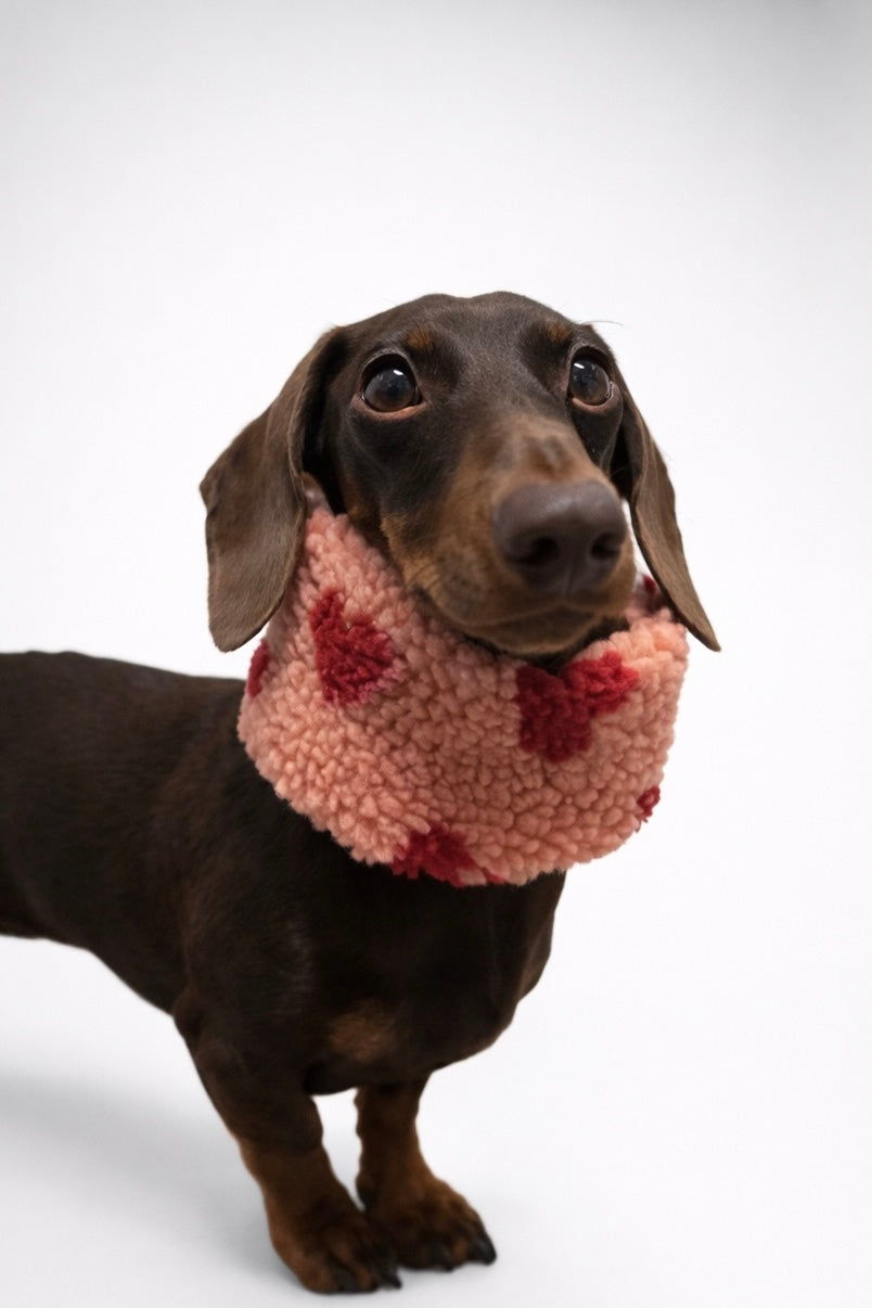 Teddyloop VALENTINE EDITION