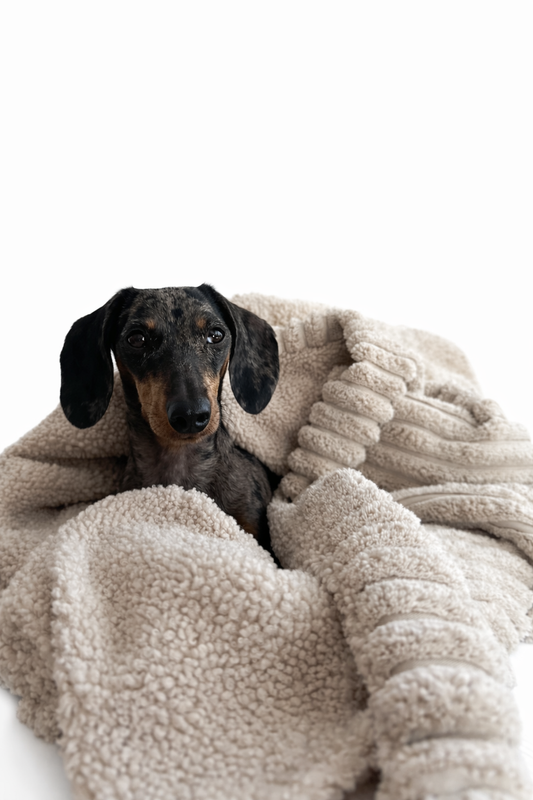 Mix & Match - Kuschelsack