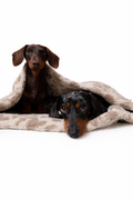 Kuschelsack LEO