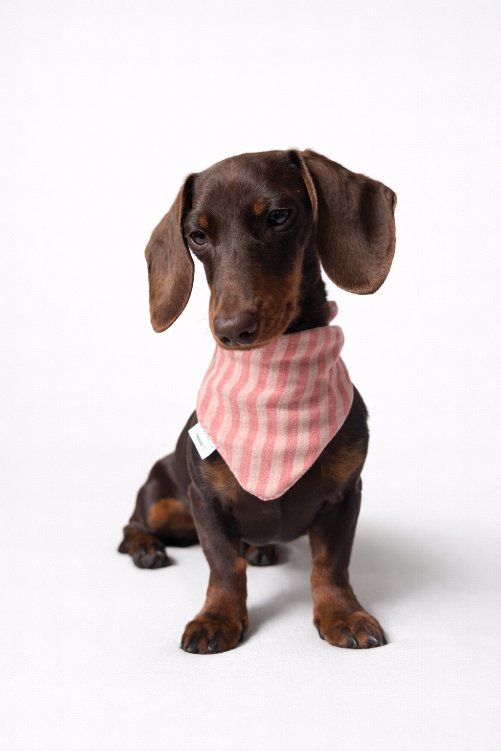 Musselin Halstuch HERMINE