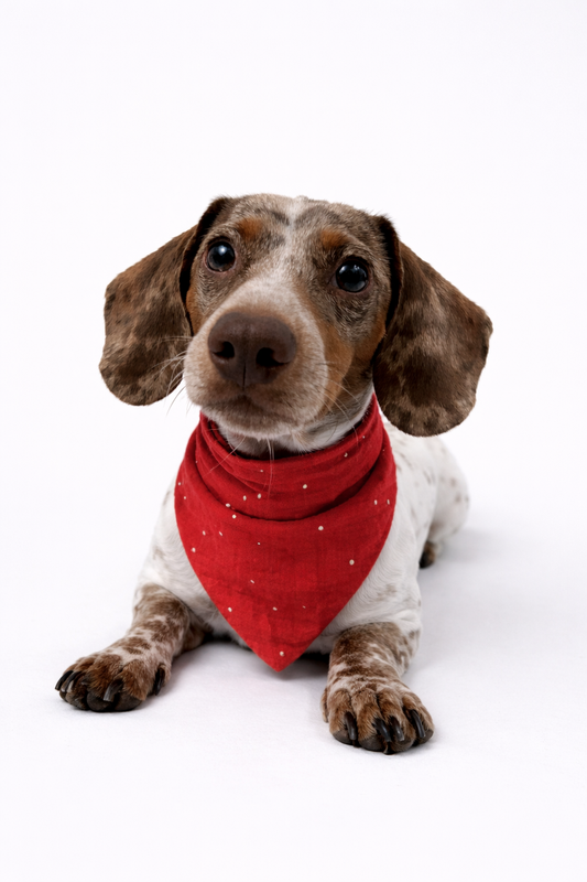 Musselin Halstuch ORANGE DOTS