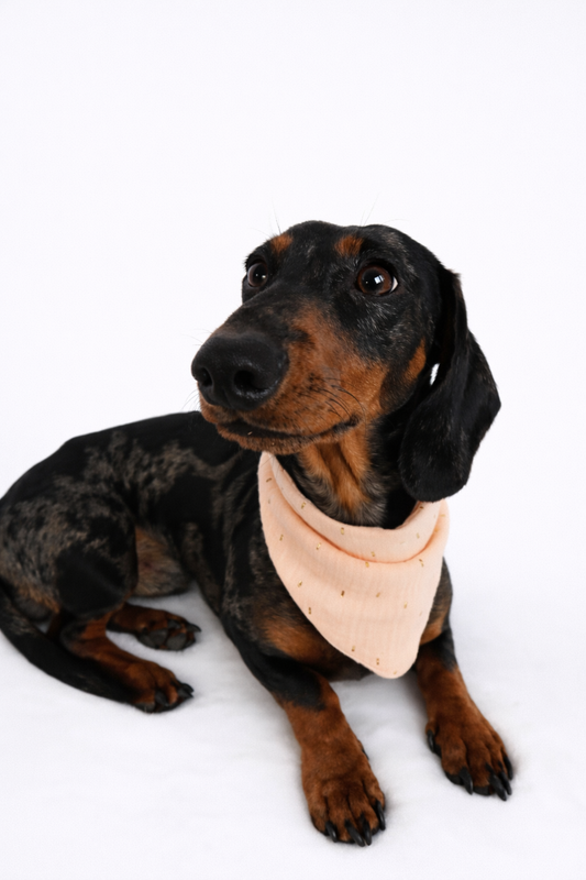 Musselin Halstuch PEACH GOLDEN STRIPES