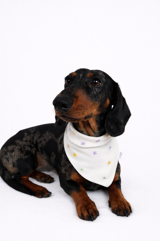 Musselin Halstuch BUTTERFLY