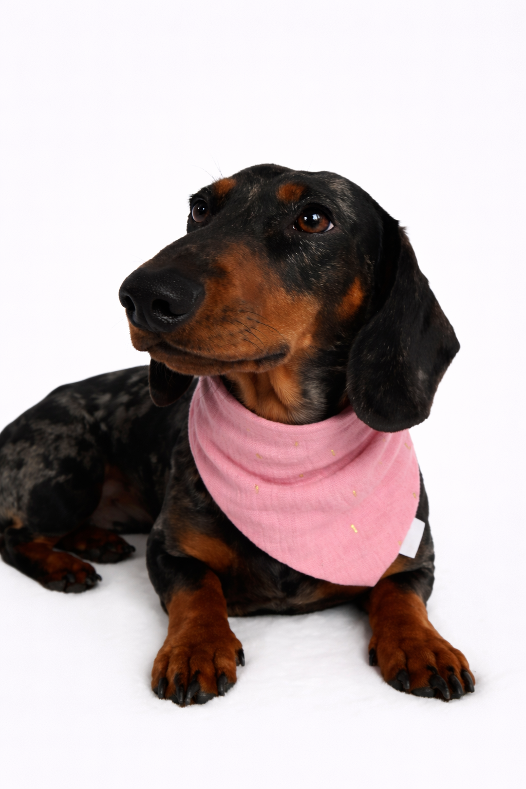 Musselin Halstuch ROSA GOLD STRIPES