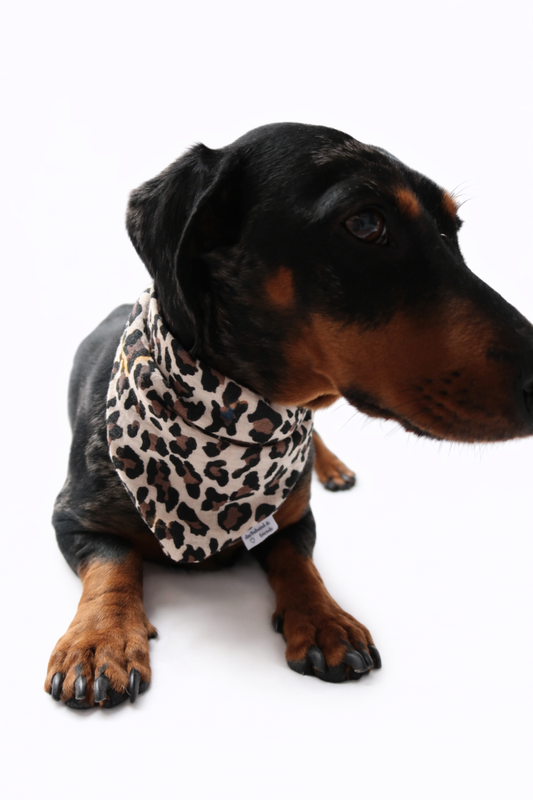 Musselin Halstuch LEO