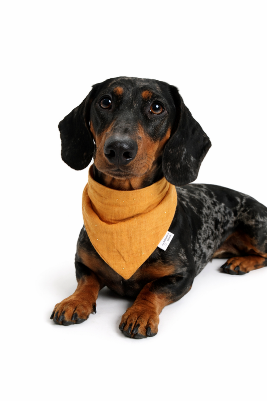 Musselin Halstuch YELLOW GOLDEN DOTS