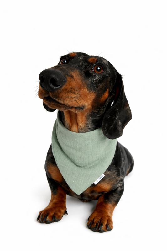 Musselin Halstuch MINT GOLDEN DOTS