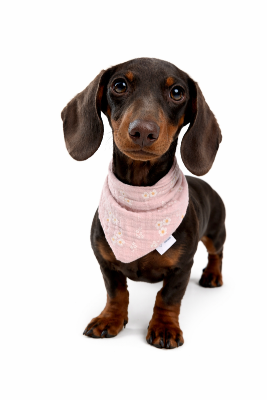 Musselin Halstuch FLORA