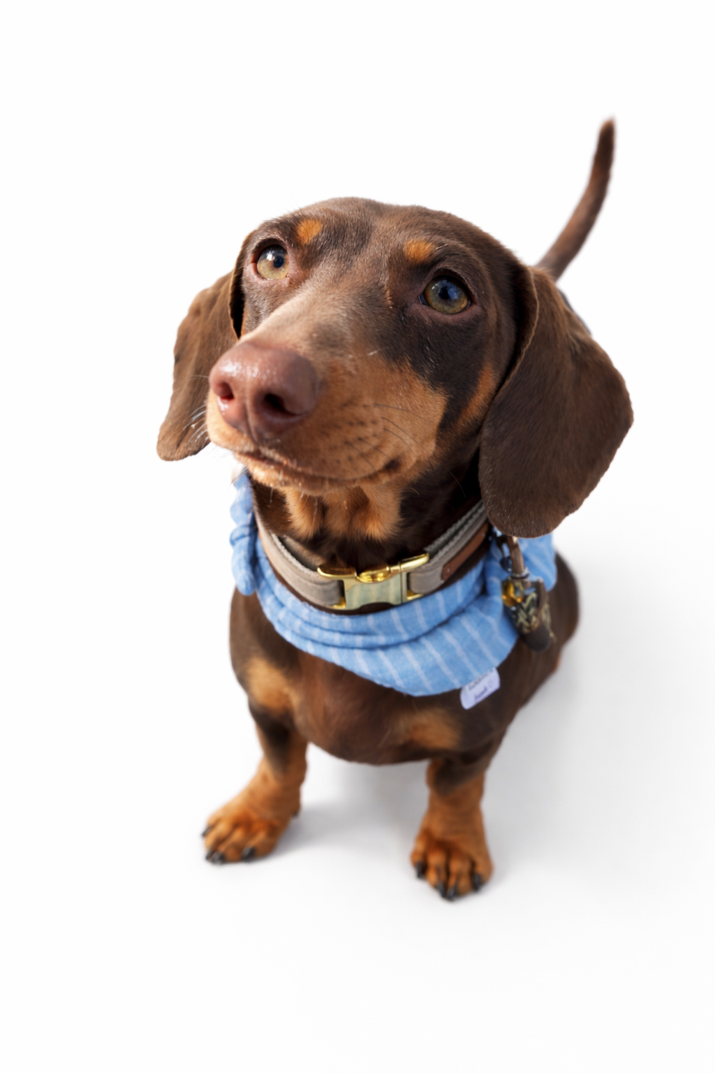 Musselin Halstuch STRIPES BLUE