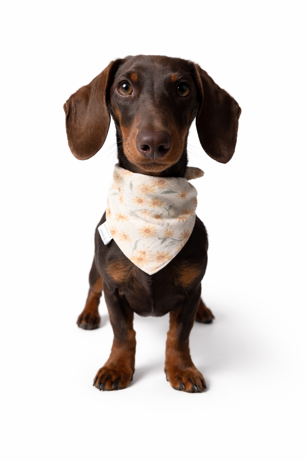 Musselin Halstuch SUNNY