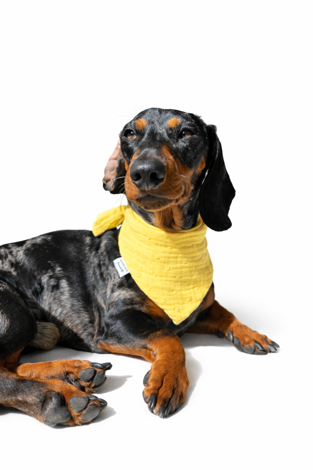 Musselin Halstuch LEMON DOTS