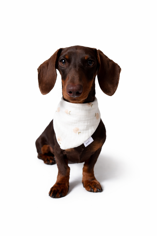 Musselin Halstuch PEACH