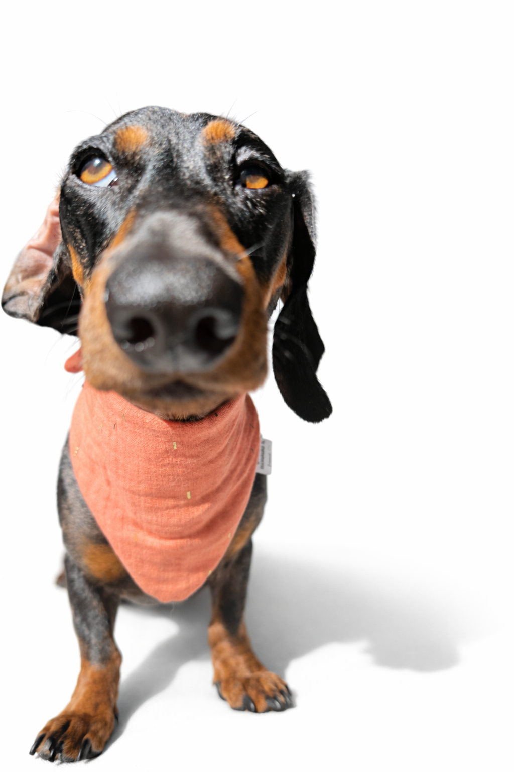 Musselin Halstuch CORAL GOLD STRIPES