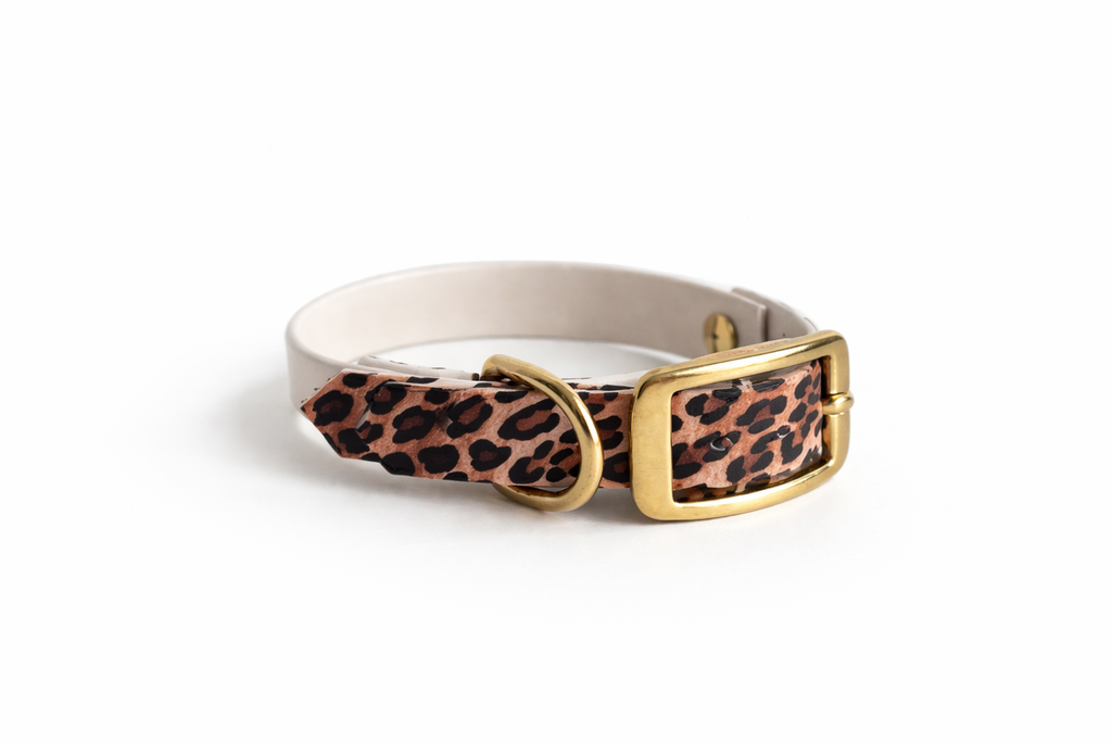 Mix&Match - BioThane®  Halsband LEO