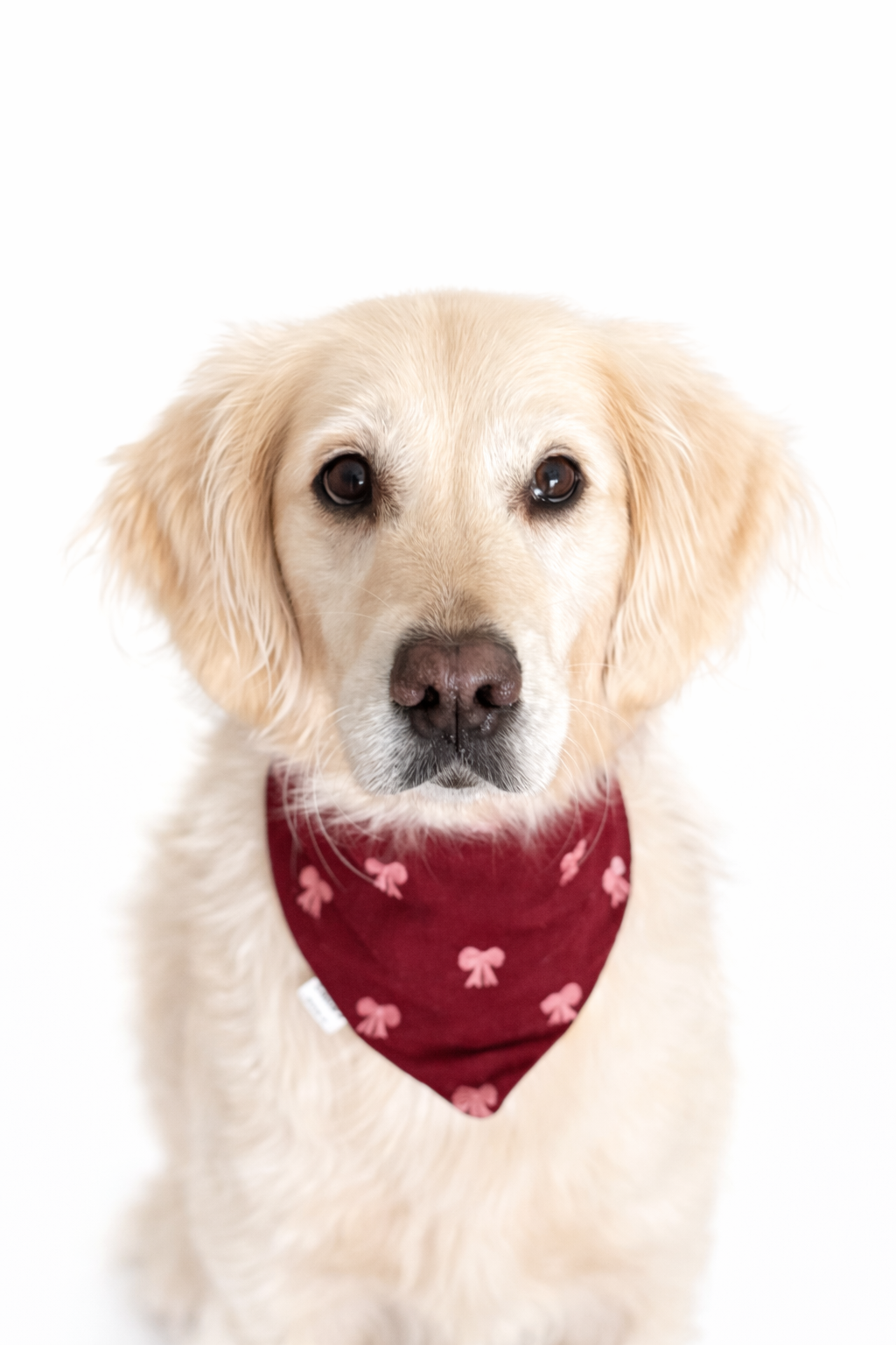 Halstuch BOWS