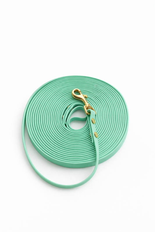 Schleppleine Hexa Gurtband 10mm