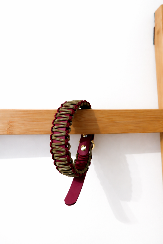 Paracord x Biothane Halsband zweifarbig