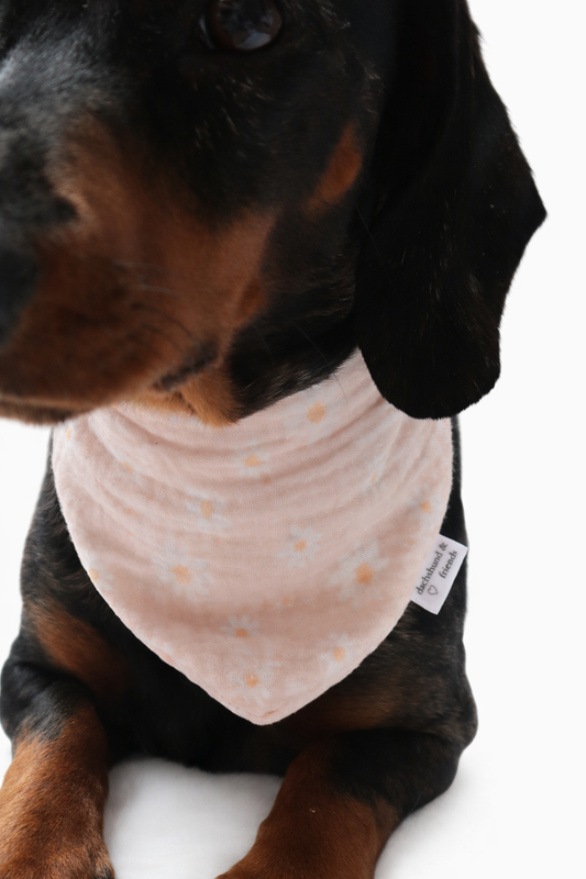 Musselin Halstuch DAISY