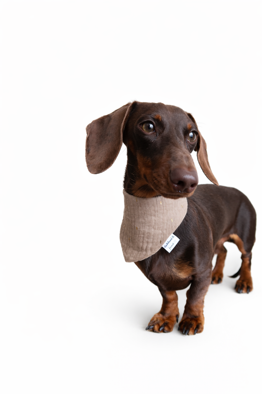 Musselin Halstuch TAUPE GOLD STRIPES