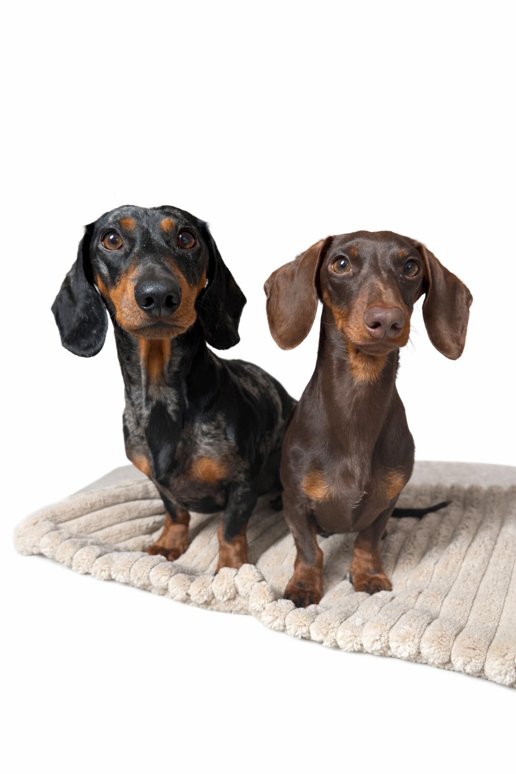 Mix & Match Kuscheldecke