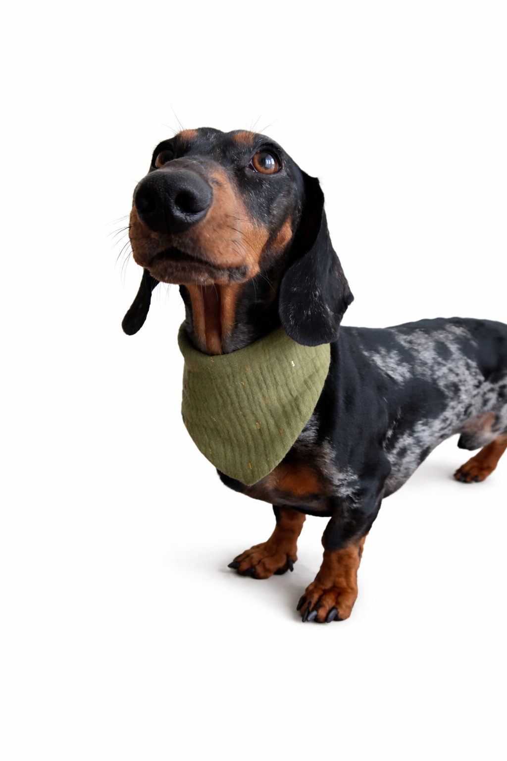 Musselin Halstuch KHAKI GOLD