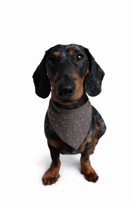 Musselin Halstuch KHAKI GOLDEN DOTS