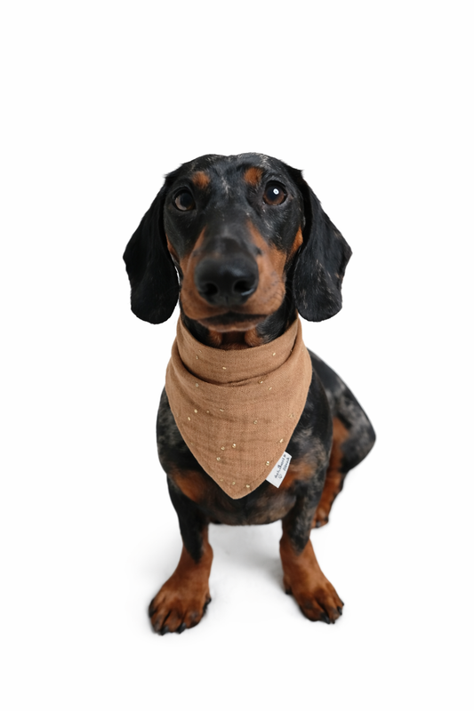 Musselin Halstuch BROWN GOLDEN DOTS