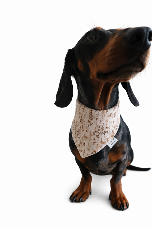 Musselin Halstuch BROWN WILDFLOWERS