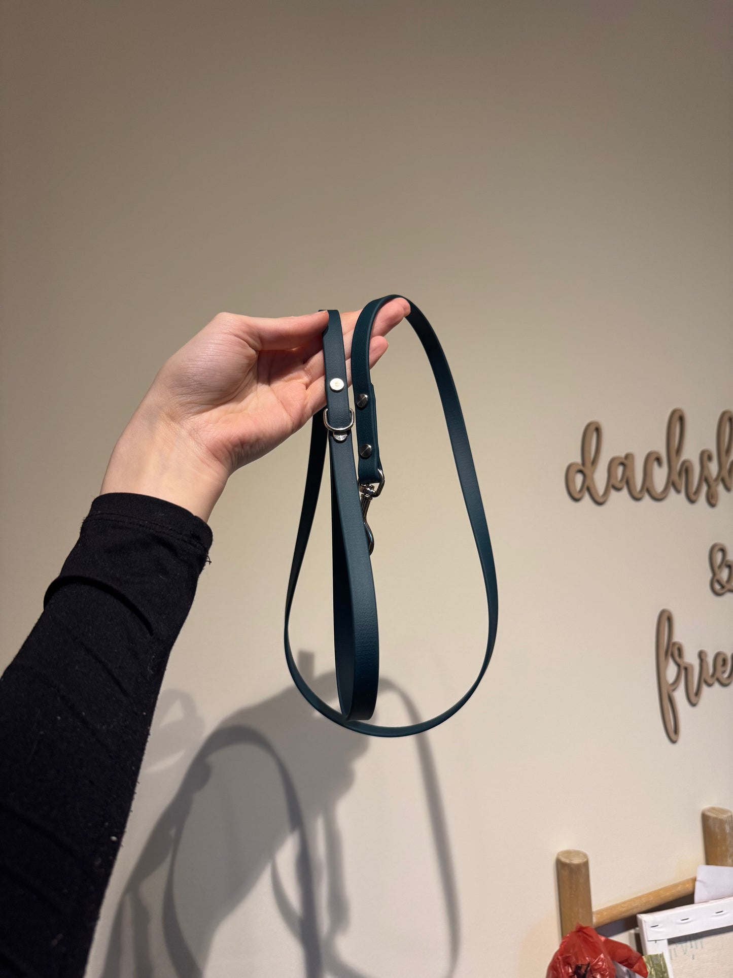 BioThane City-Leine 120cm