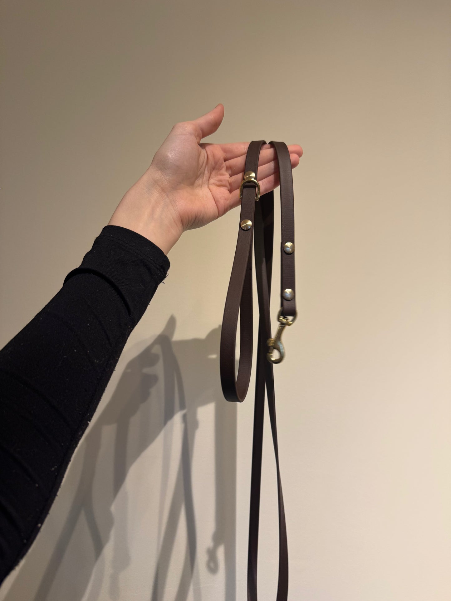 BioThane City-Leine 170cm