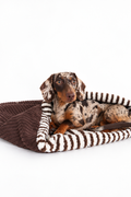 Mix & Match - Kuschelsack LIMITED EDITION